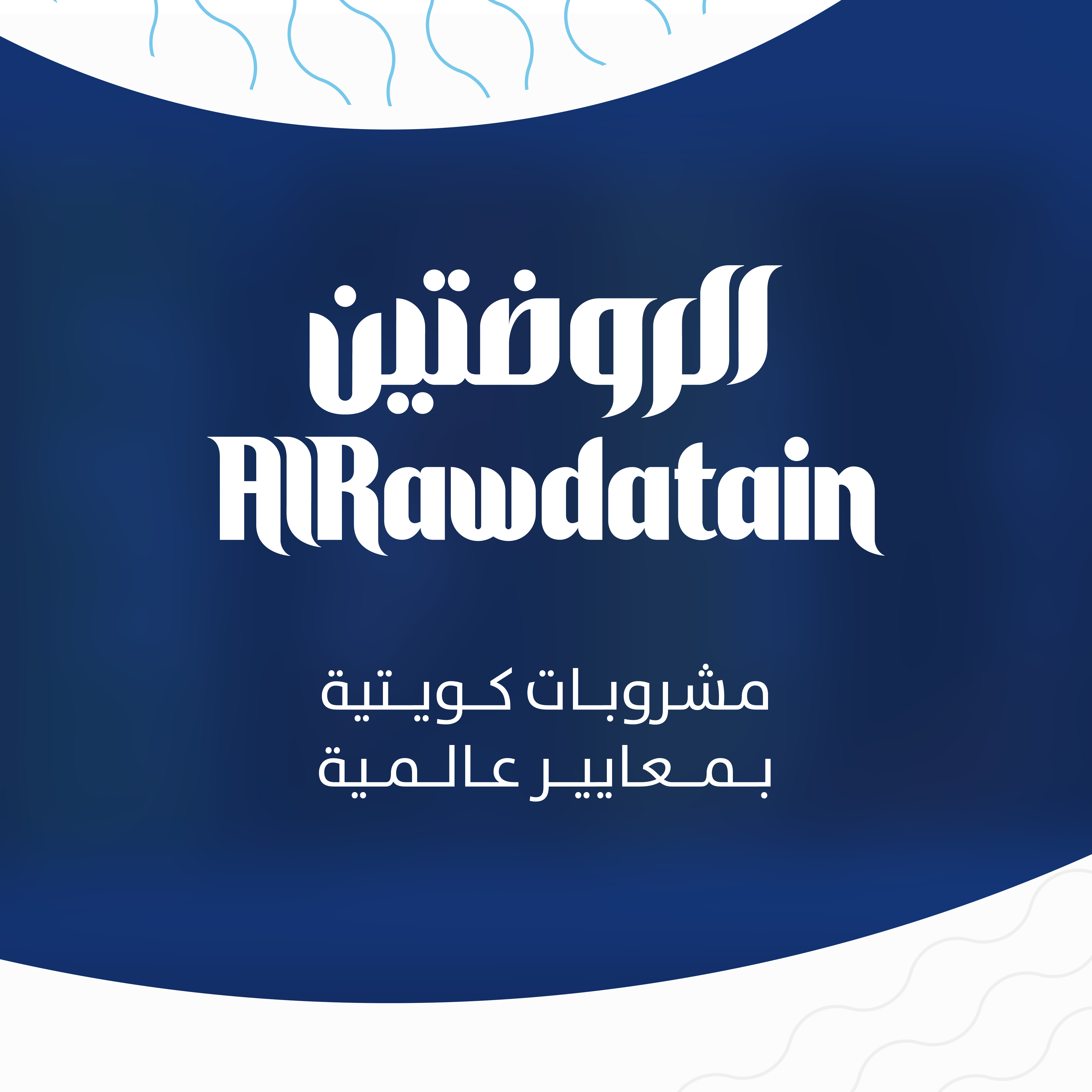 RAWDATAIN PRODUCT PORTFOLIO